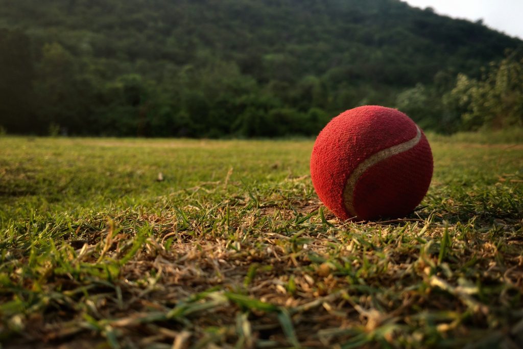 Cricket Ball